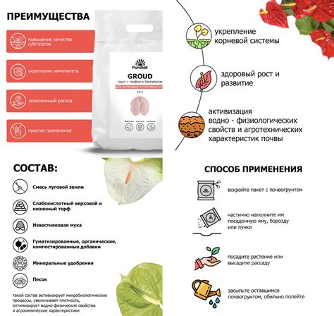 Освещение и температура: оптимальные условия для антуриума