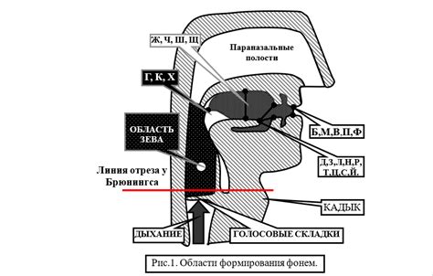 Освоение голосового резонанса