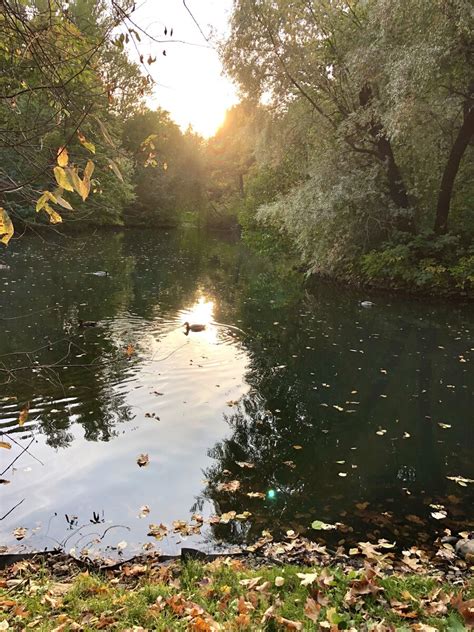 Осень - время подготовки