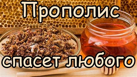 Ослабьте боль с помощью прополиса и ромашки