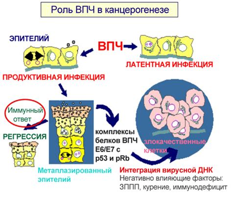 Осложнения, вызванные ВПЧ