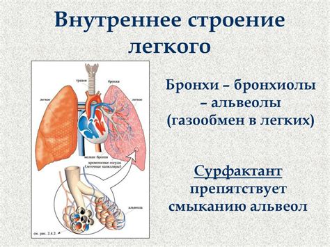 Осложнения и последствия GGO в легких