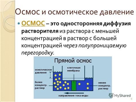 Осмотическое давление и транспорт веществ