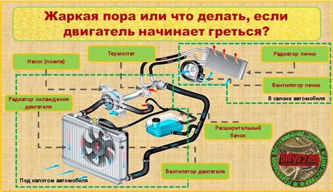 Осмотрите систему охлаждения и определите его местоположение