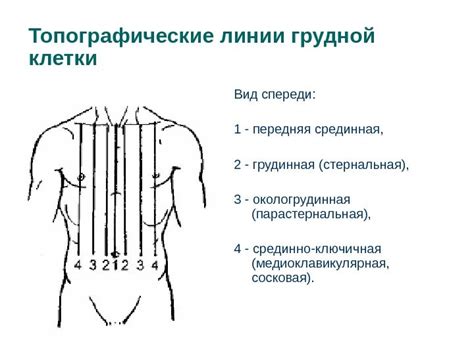 Осмотр и диагностика повреждений