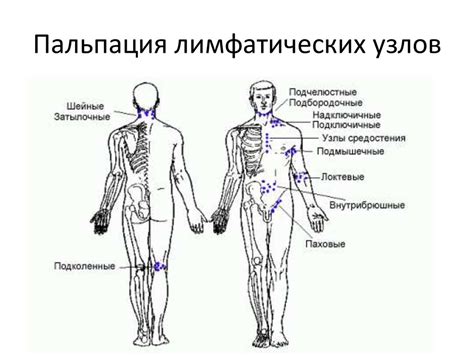 Осмотр и оценка состояния пациента