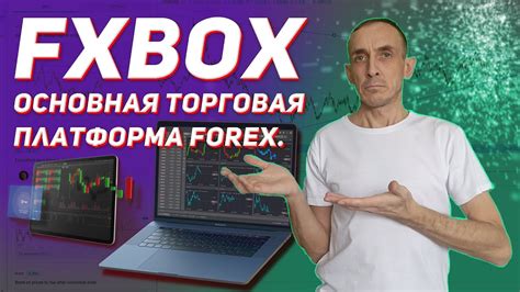 Основная информация о бирже Forex