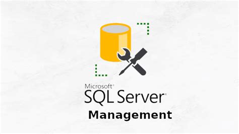 Основное окно SQL Server Management Studio