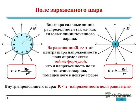 Основное поле и его резюмирующая информация