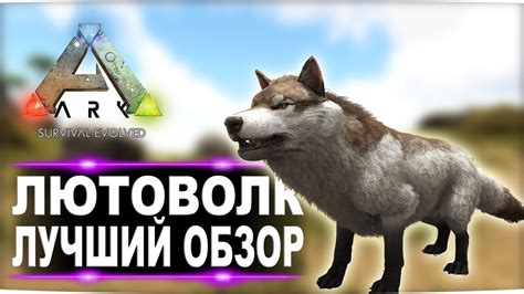 Основной герой игры Арк: Лютоволк