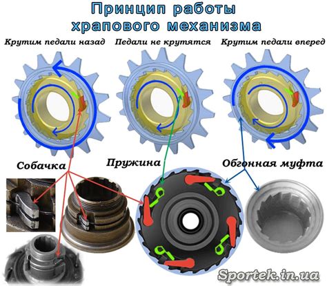 Основной механизм велосипеда: звонок