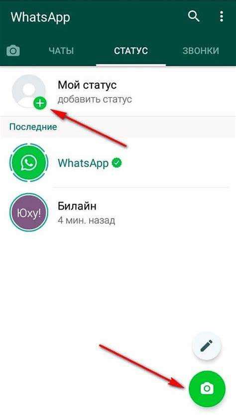 Основной функционал WhatsApp