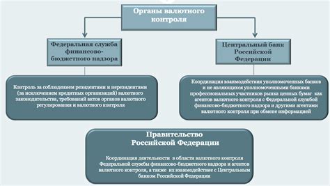 Основные агенты контроля и регулирования