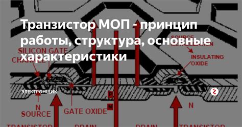 Основные аспекты площади МОП