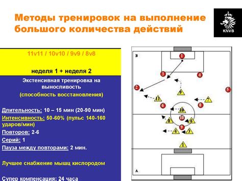 Основные аспекты физической подготовки