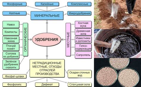 Основные виды удобрений для аглаонемы