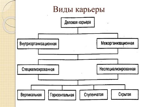 Основные достижения карьеры