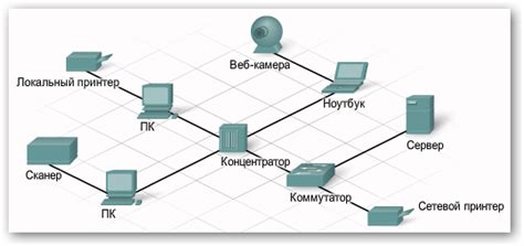 Основные компоненты паутины