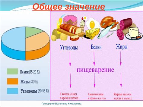 Основные компоненты правильного питания