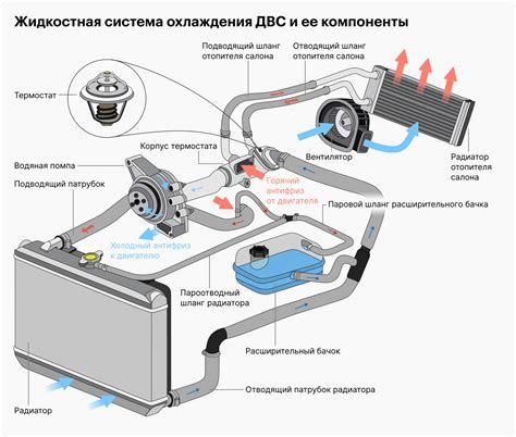 Основные компоненты радиатора охлаждения автомобиля