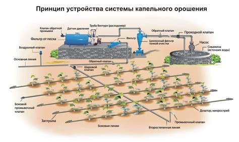 Основные компоненты системы капельного полива