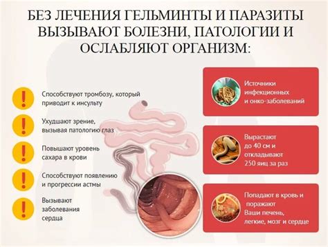 Основные методы предотвращения заражения глистами