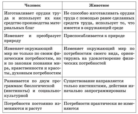 Основные отличия между анонсом и пресс-релизом