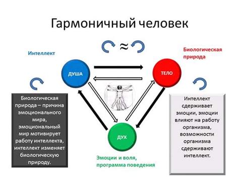 Основные отличия между понятиями