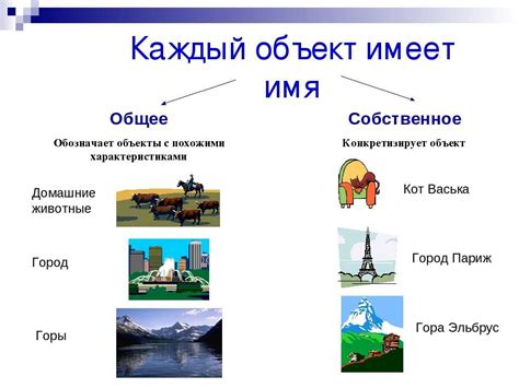 Основные понятия и объекты окружающего мира