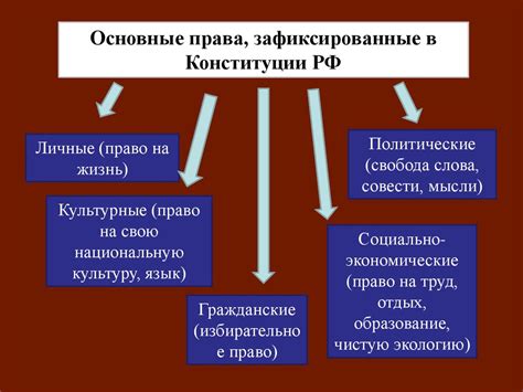 Основные права и обязанности участников