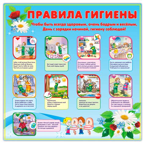 Основные правила гигиены