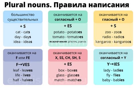 Основные правила для определения формы глаголов во множественном числе