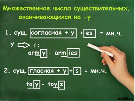 Основные правила образования множественного числа