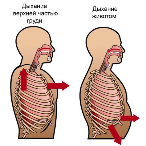 Основные правила правильного дыхания: не забывайте дышать