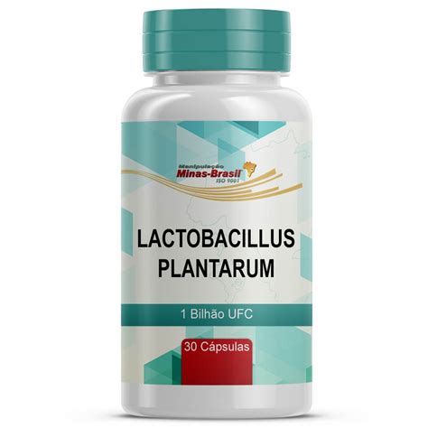 Основные преимущества Lactobacillus plantarum cect7527, cect7528, cect7529