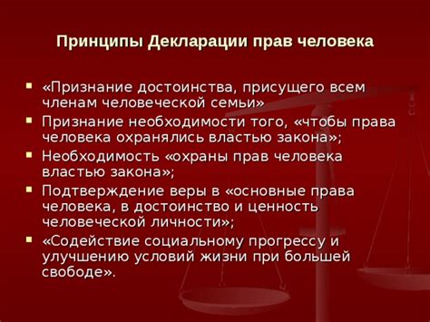 Основные принципы Декларации прав человека