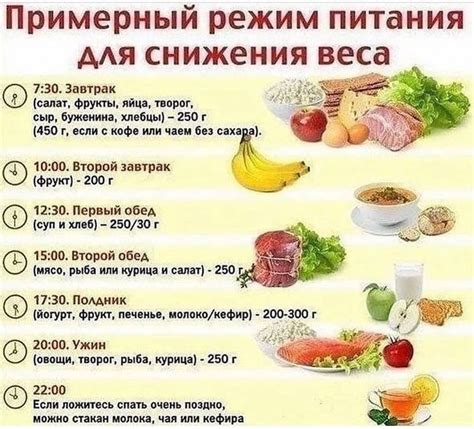 Основные принципы балансированного рациона