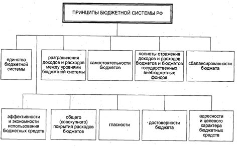 Основные принципы бюджетного законодательства