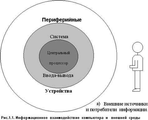 Основные принципы ввода