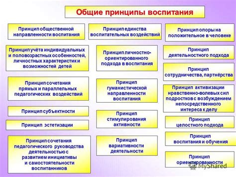 Основные принципы воспитания