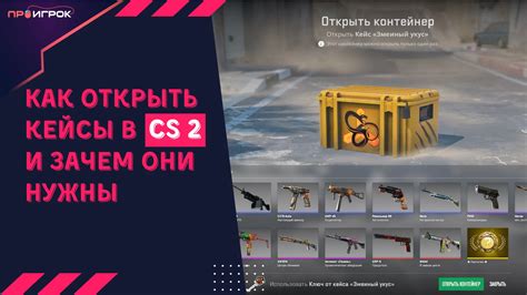 Основные принципы использования кейсов в CS GO