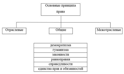 Основные принципы использования права