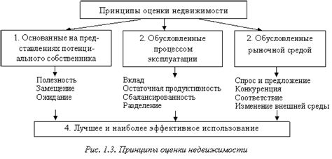 Основные принципы и подходы каждой дисциплины