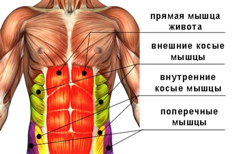 Основные принципы и преимущества упражнения вакуум живота