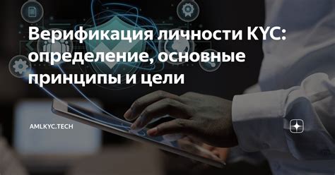 Основные принципы и функции программы