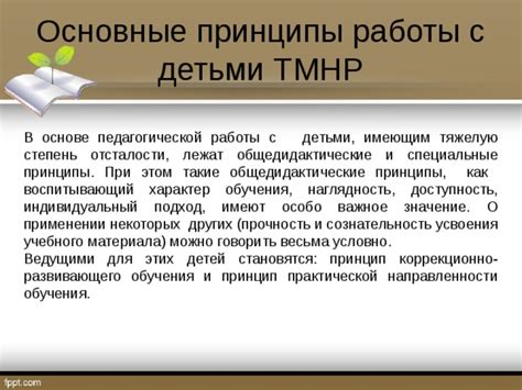 Основные принципы педагогической работы с детьми, исключающие крики и конфликты