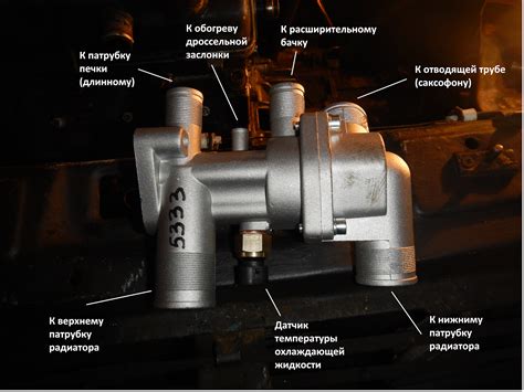 Основные принципы работы термостата Газель Каменс