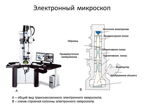 Основные принципы работы электронного микроскопа