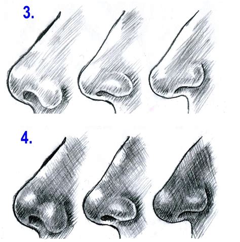 Основные принципы рисования носа карандашом