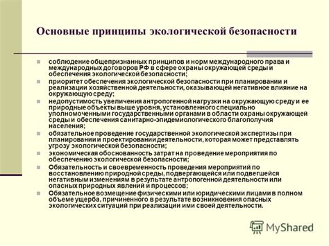 Основные принципы экологической безопасности